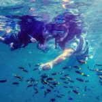 snorkeling in philippines