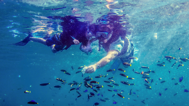 snorkeling in philippines